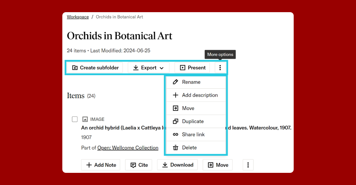 A screenshot of the JSTOR Workspace interface displaying a collection titled "Orchids in Botanical Art" with 24 items. The interface includes options such as "Create subfolder," "Export," and "Present." A dropdown menu labeled "More options" is open, showing actions like "Rename," "Add description," "Move," "Duplicate," "Share link," and "Delete." Below the listed items, additional buttons for "Add Note," "Cite," "Download," and "Move" are visible.