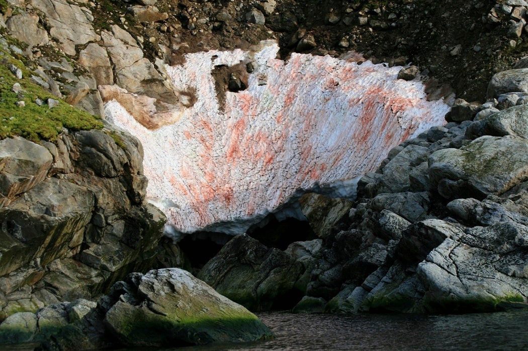 A pocket of rust colored snow in a crater