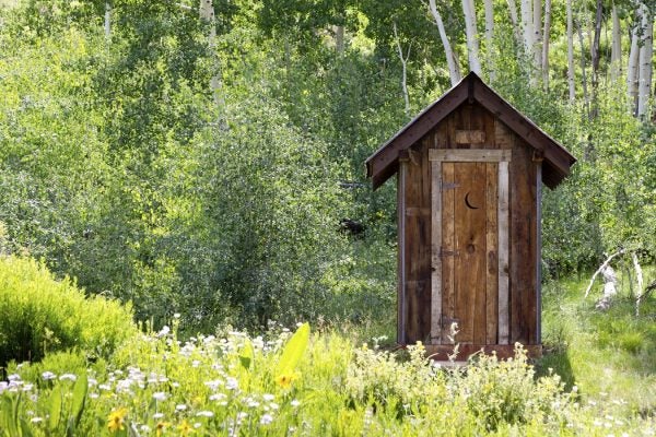 Outhouse in the forest