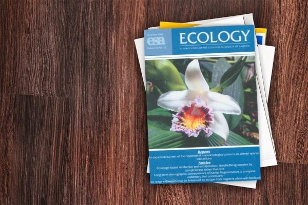 Cover of Ecology