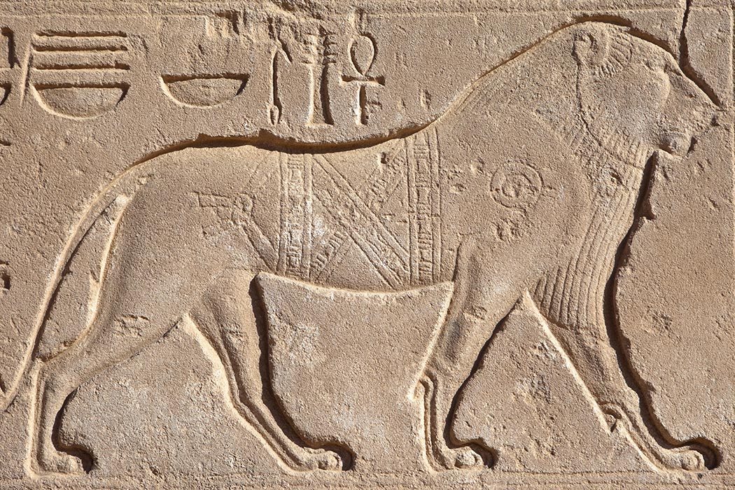 Lion hieroglyphs