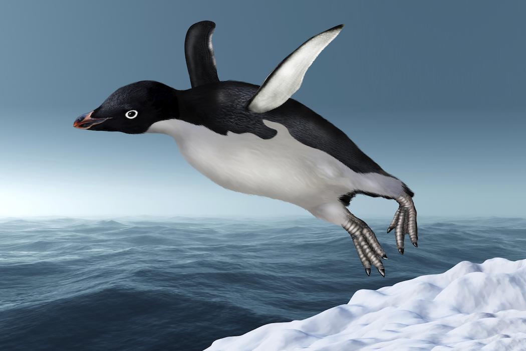 Flying Penguin