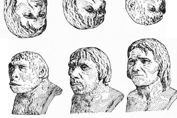 Black and white drawings of Neanderthals and other early men