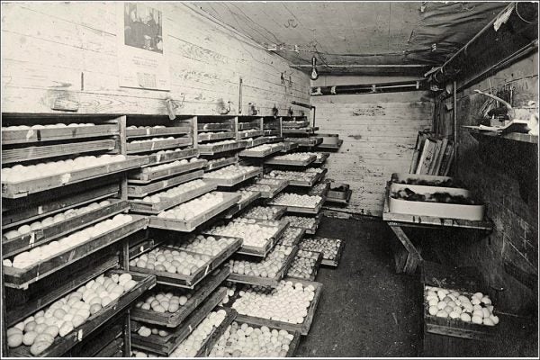 Hastings Muskogee Hatchery 1911