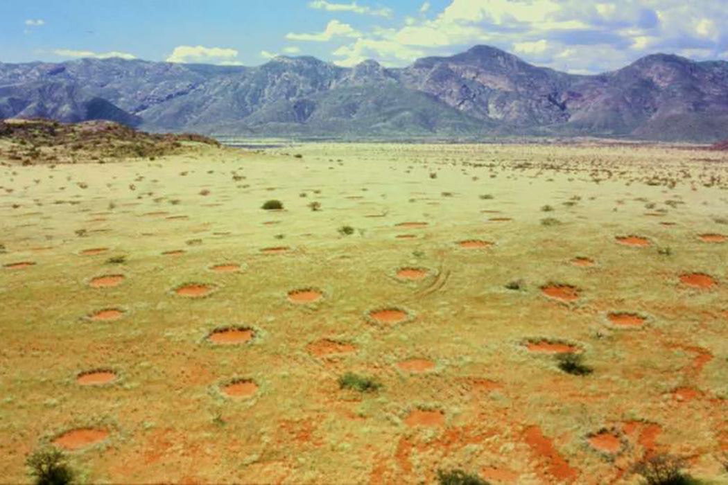 Fairy Circles