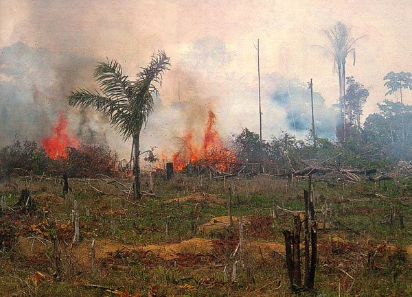 NASA Burning Brazil