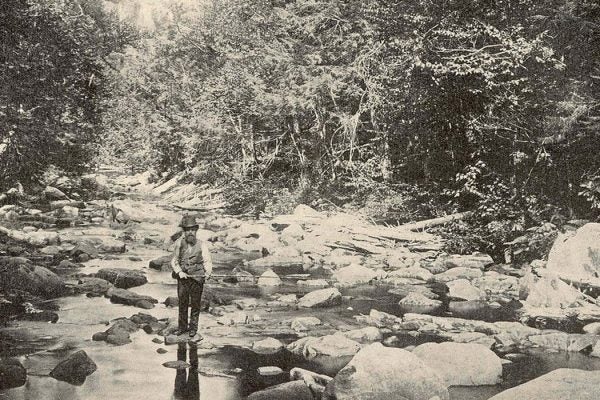 Fishing Victorian