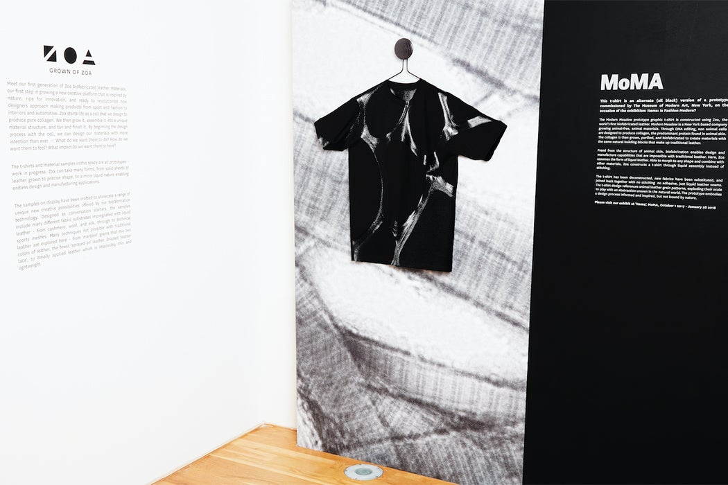 Zoa T-shirt in MoMa