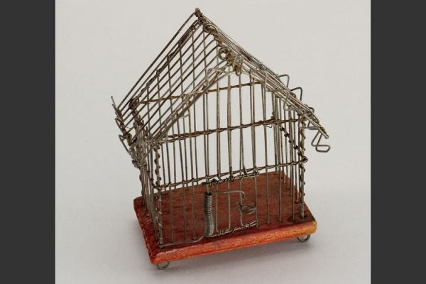 Cricket cage