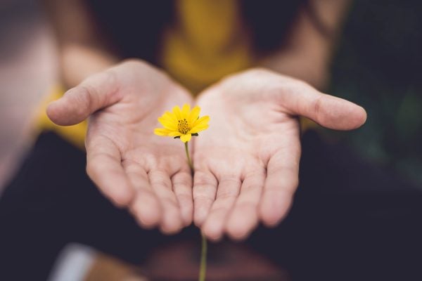 Forgiveness flower