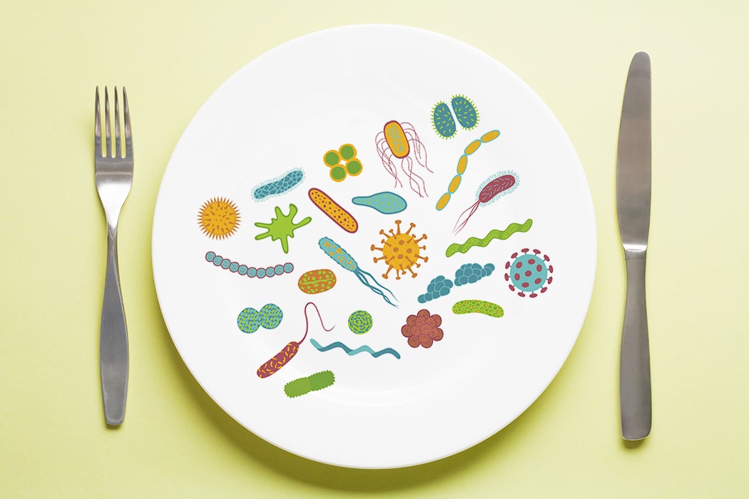 Microbe plate