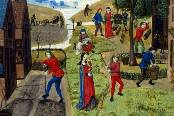 Image from Livre des profits ruraux (late 15th century France)