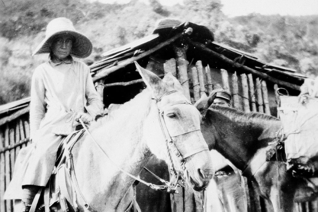 Mary Agnes Chase collecting plants in Brazil in 1929.