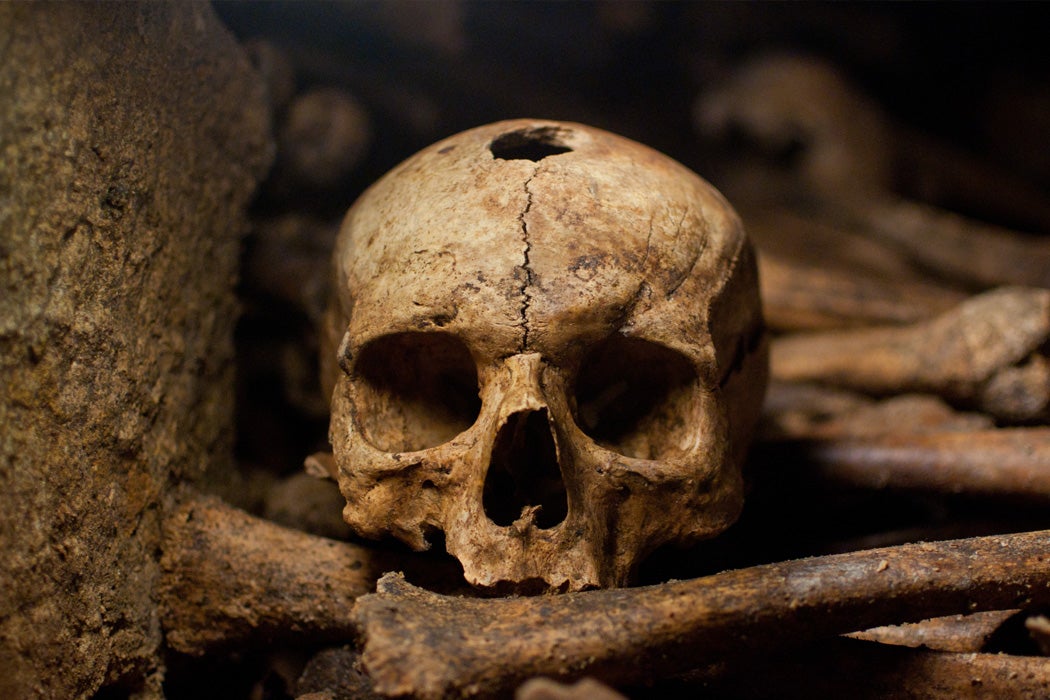 Skull in the Paris Catacombs