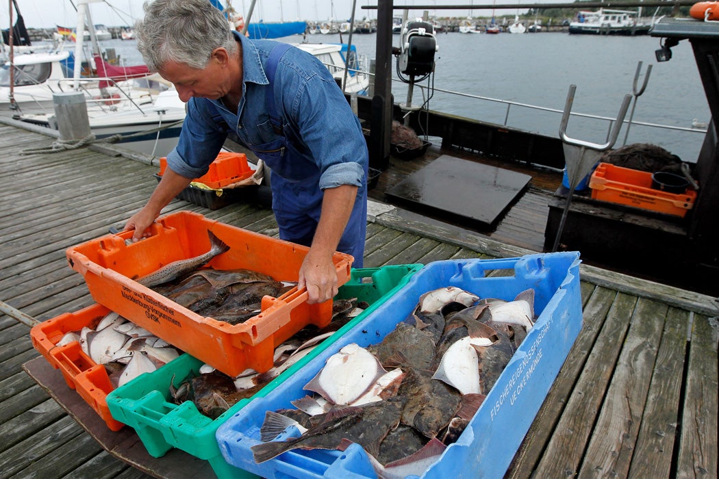 A fisherman on the dock with his catch.