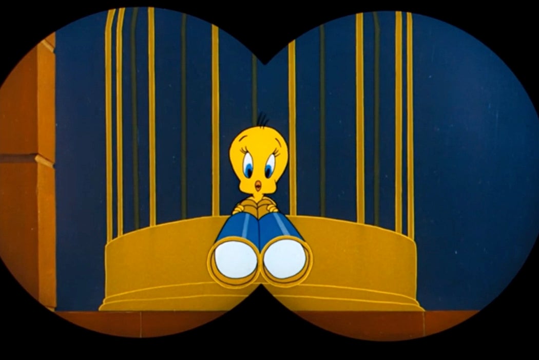 Binocular-framed view of Tweety Bird who is also holding a pair of binoculars