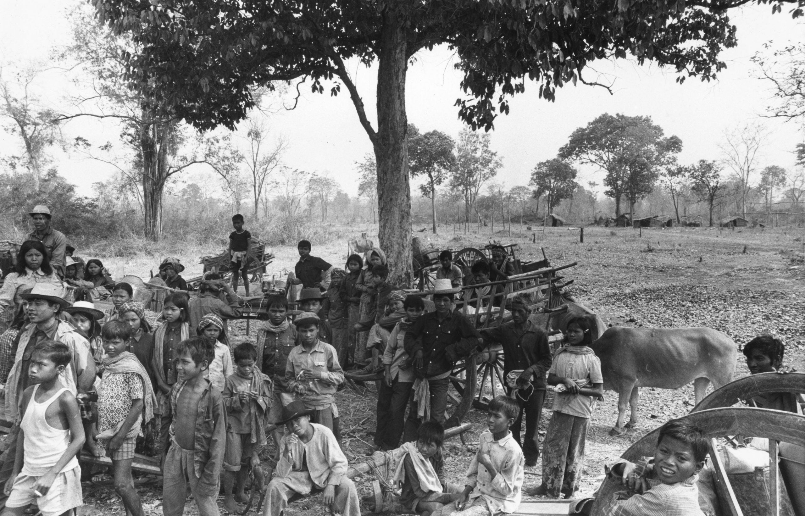 Refugees on their way to the Thai border to collect food for their villages in Cambodia, during unrest in Cambodia, c. 1980