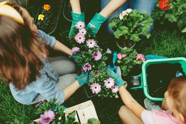 Mother and daughters planting flowers in a backyard