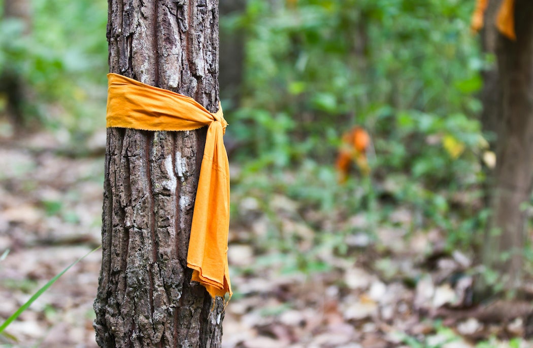 Orange Buddish Monks Robe tied around a tree.