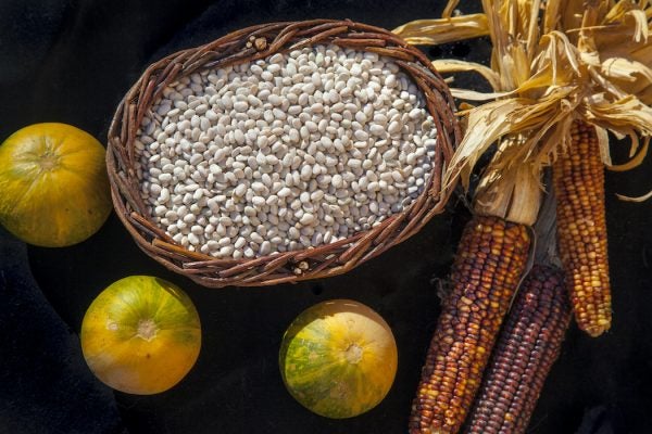 Tepary Beans, Squash and Corn