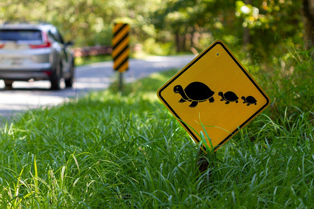 A road sign at a wildlife refuge that warns the drivers of turtles crossing the road.