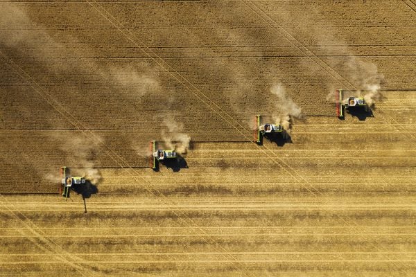 Dust rising from combine during crop harvesting