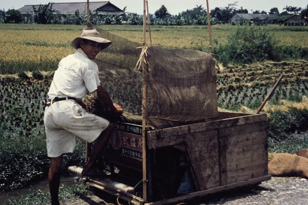 A rice farmer with a handcart in Pingtung County, Taiwan, circa 1965.