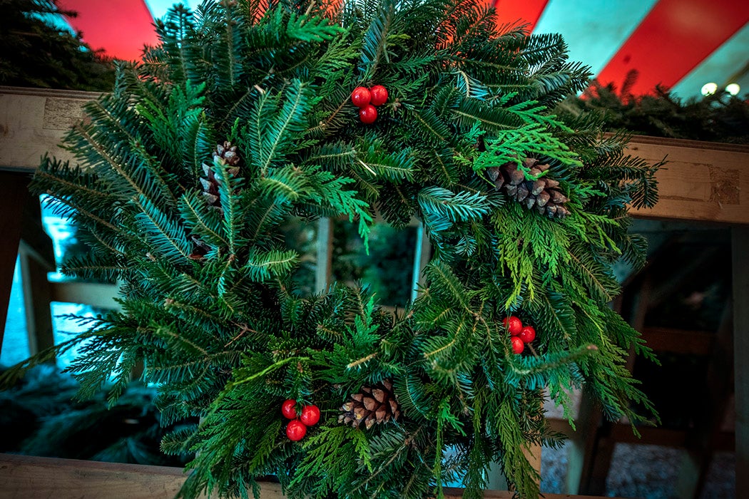 A christmas wreath