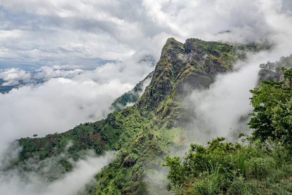 Usambara Mountains, Tanzania