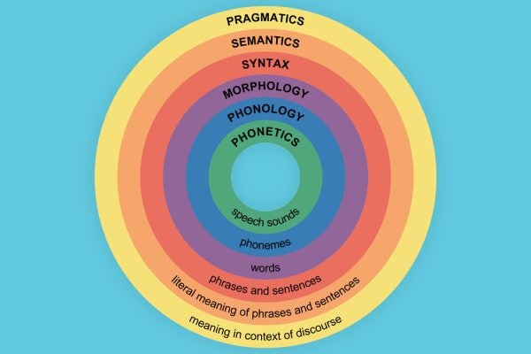 Major levels of linguistic structure