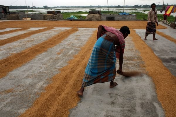 A man sweeps cooked rice still in the husk into piles to dry at a rice mill July 18, 2008 in Srinigar, Bangladesh