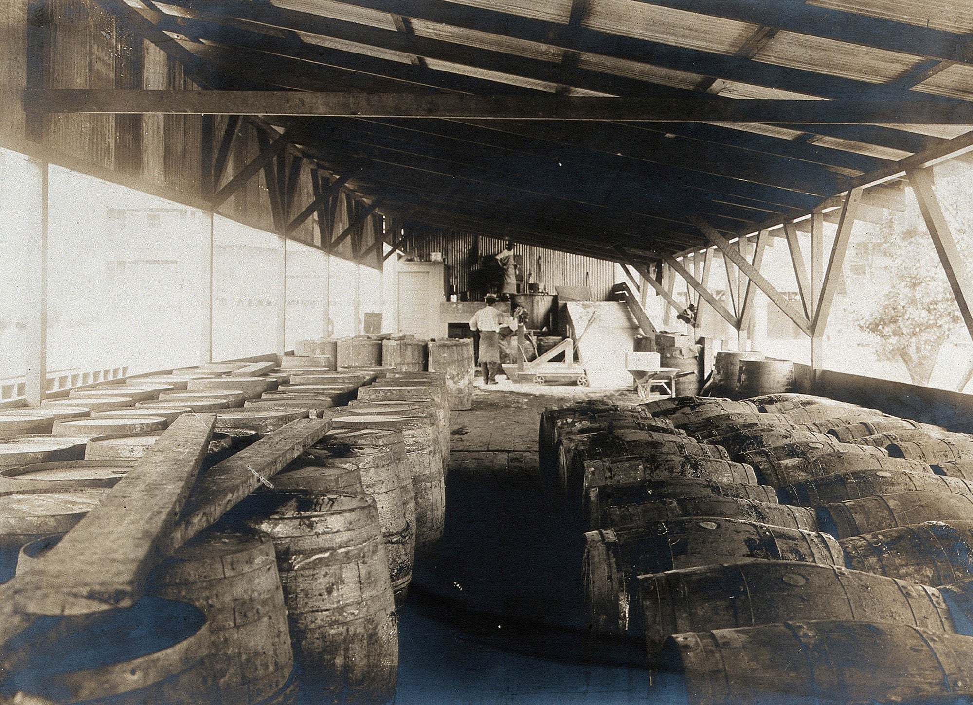 Ancon, Panama Canal Zone: a mosquito oil plant interior showing rows of barrels, 1910