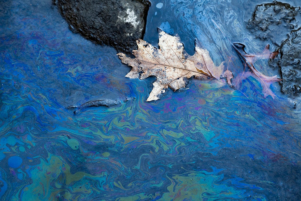 Toxic chemicals float on the surface of Leslie Run creek on February 25, 2023 in East Palestine, Ohio.