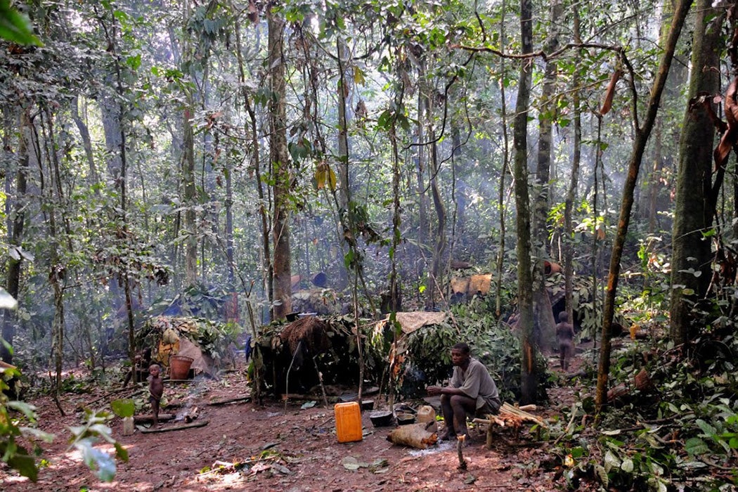 Bayaka people in the Dzanga Sangha Ndoki reserve, Central African Republic rainforest