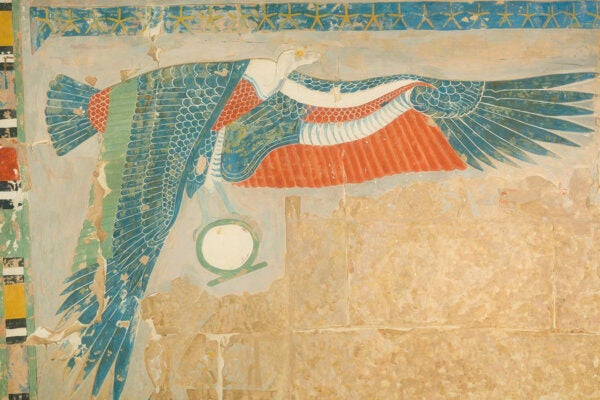 The Goddess Nekhbet, Temple of Hatshepsut