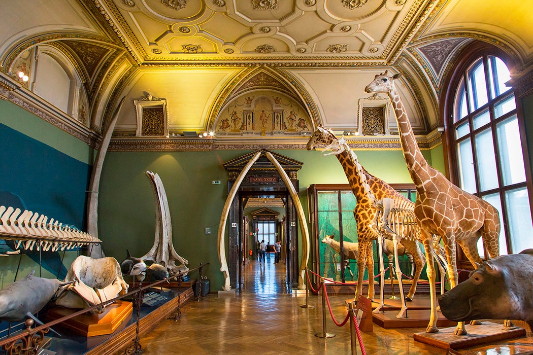 Vienna, Austria. The Naturhistorisches (Natural History) Museum, Vienna