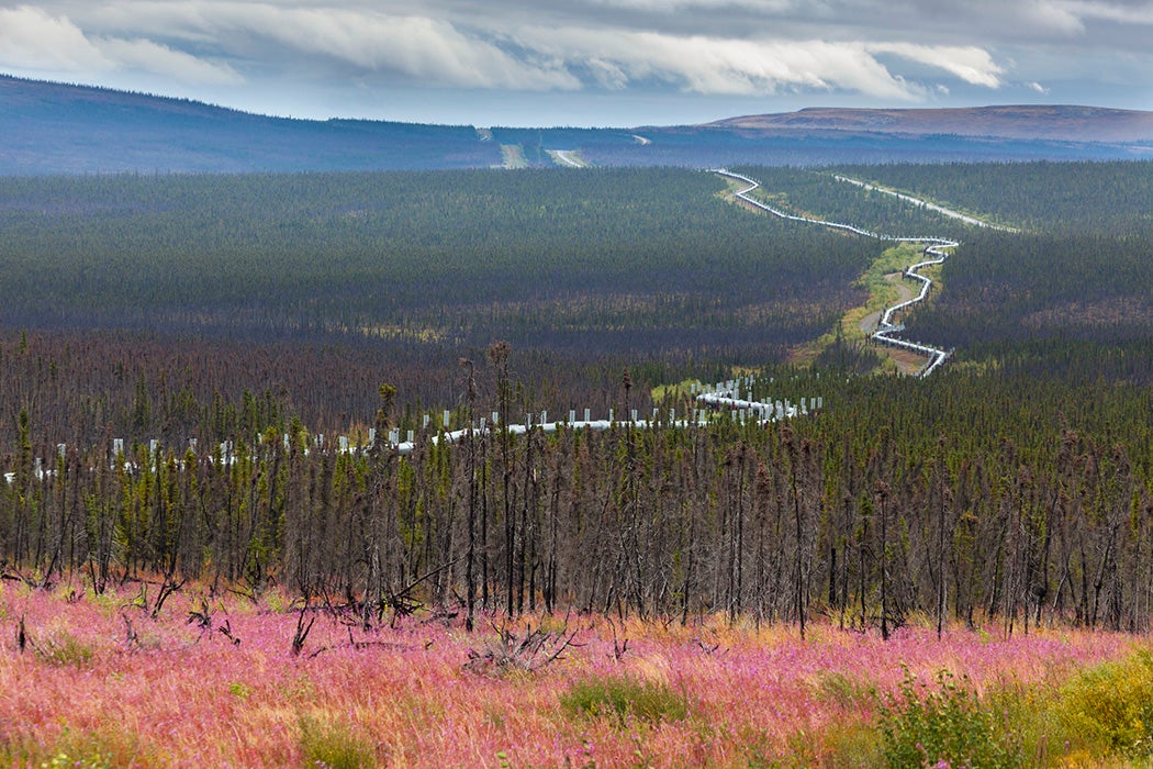 James Dalton Highway, Alaska.