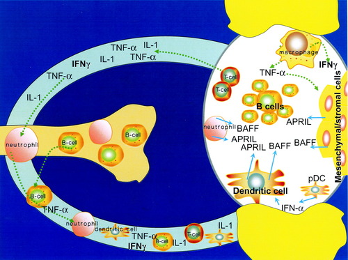 Details are in the caption following the image