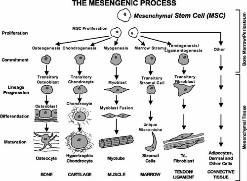 Details are in the caption following the image