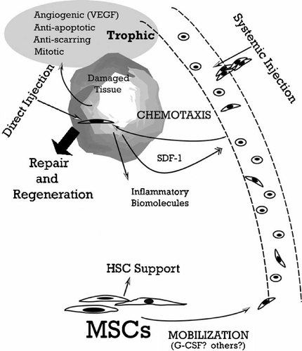 Details are in the caption following the image