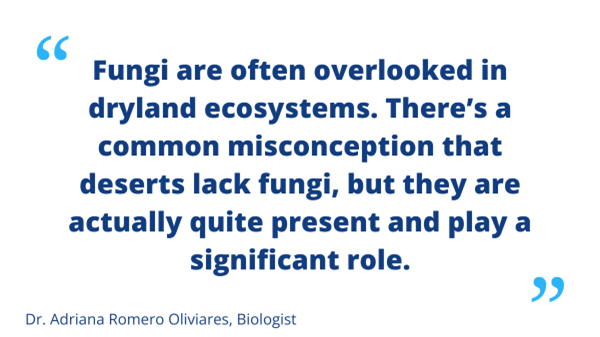 Adriana Romero Olivares quote: Fungi are often overlooked in dryland ecosystems. There's a common misconception that deserts lack fungi, but they are actually quite present and play a significant role.