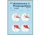 IEEE Antennas and Propagation Magazine Print Subscription