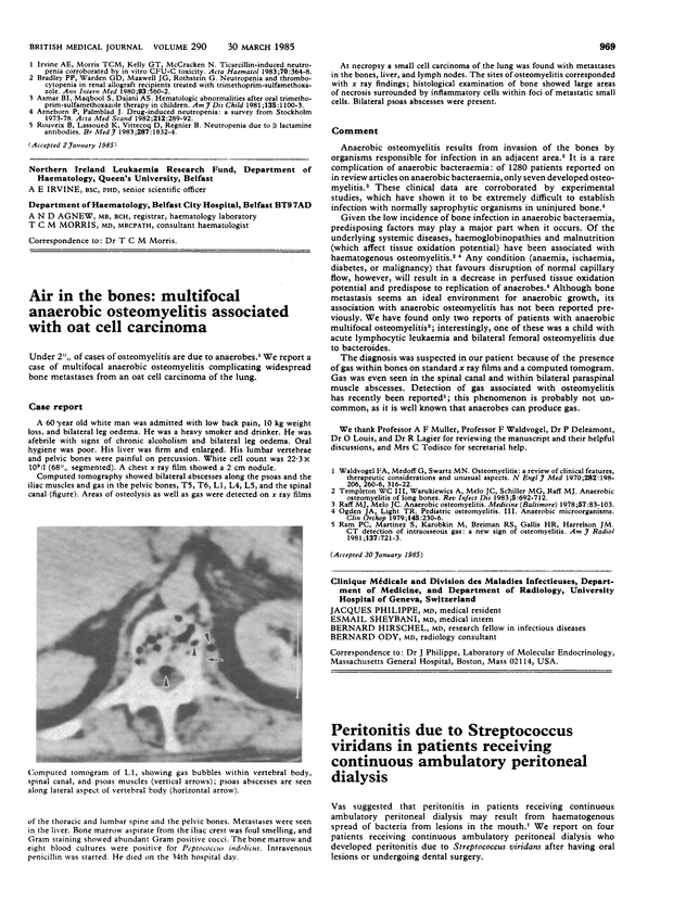 PDF extract preview