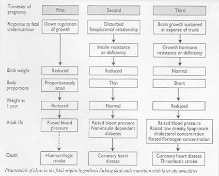 Fig 12