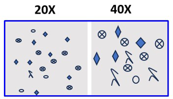 Figure Preparation Magnification panel mismatch