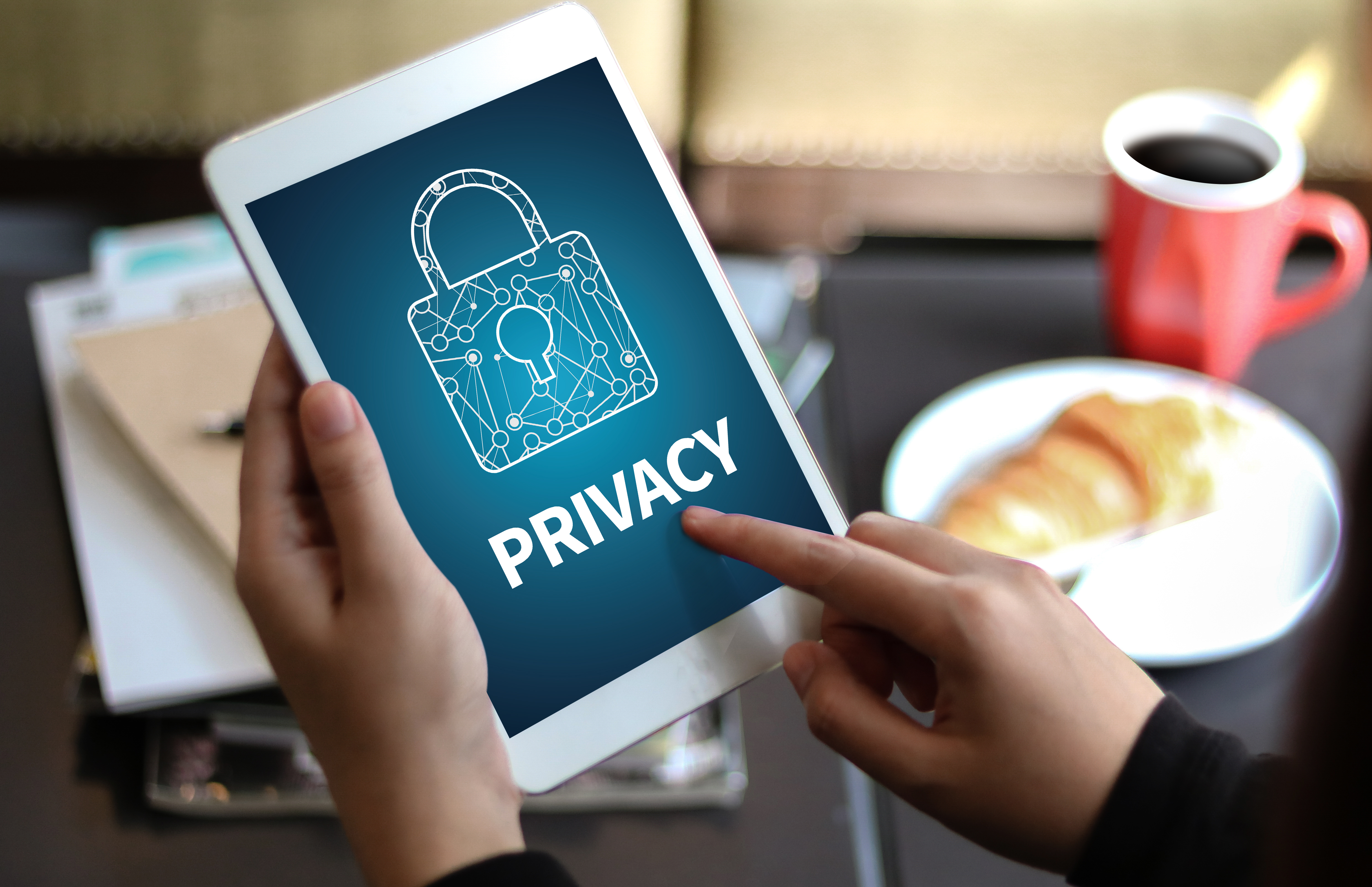 Digital Privacy: Principles, Regulations, and Ethics