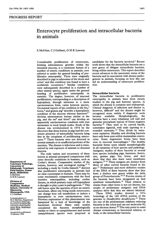 PDF extract preview