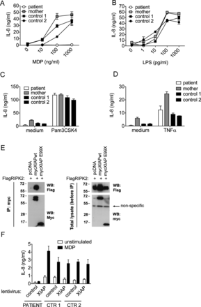 Figure 4