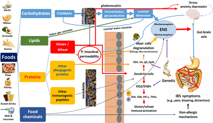 Figure 1