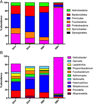 Figure 6